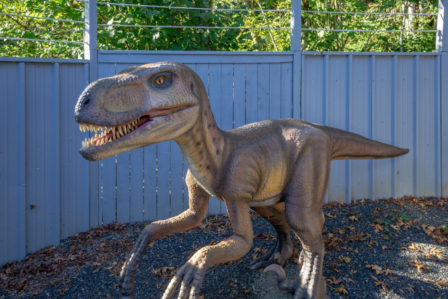 Jurassic Rebirth Out On Jul 2 - Book Your Stay Now (Adults Only) Washougal Экстерьер фото